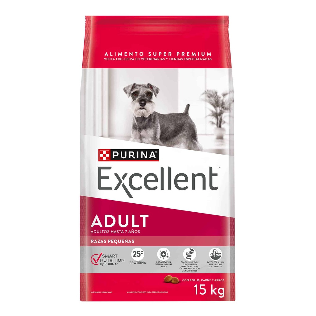 Excellent Adult Raza Pequeña Smart