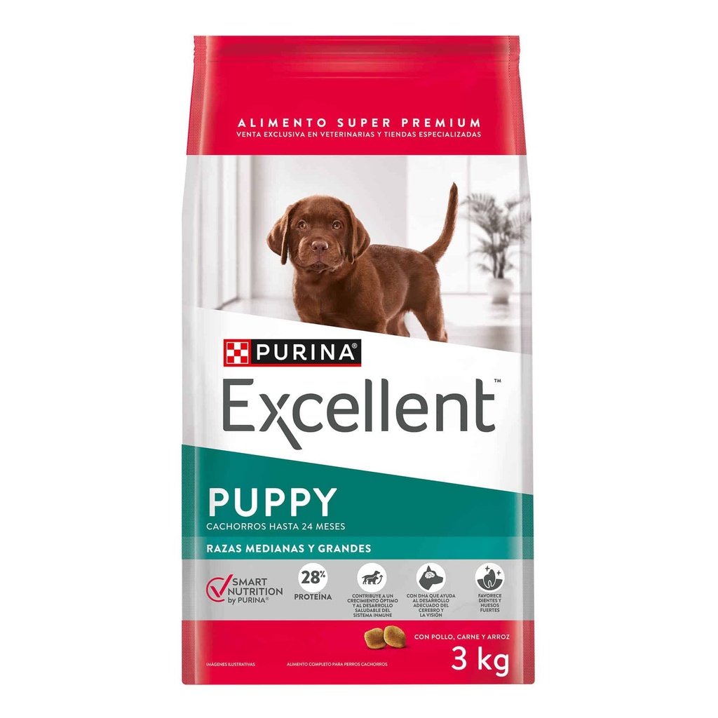 Excellent Puppy Raza Mediana Y Grande Smart
