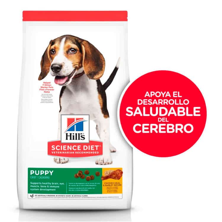 HILLS SCIENCE DIET CACHORROS CHICKEN