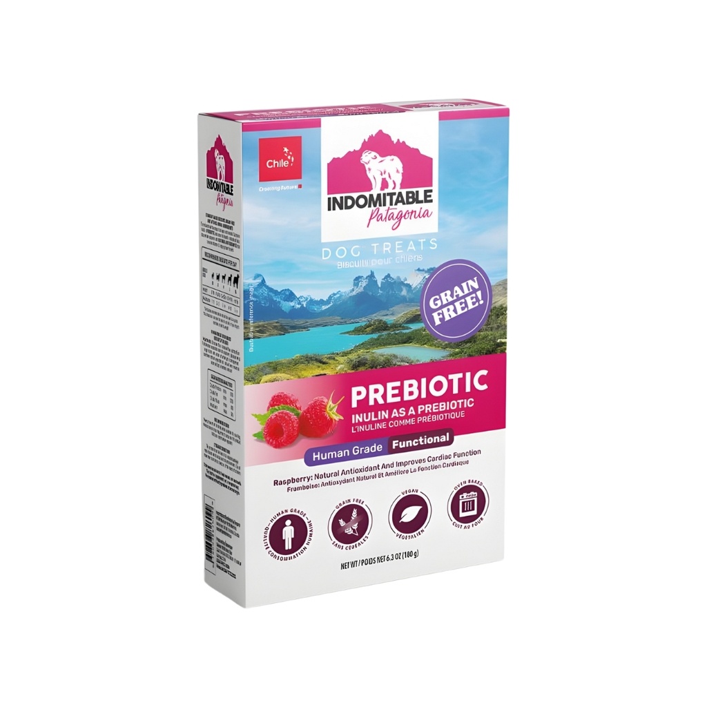 Indomitable Patagonia Raspberry