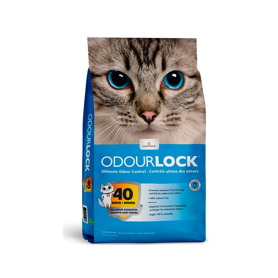 Intersand Odour Lock