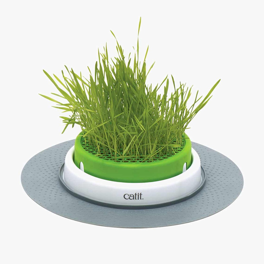 JARDINERA PARA HIERBA DE GATO CAT IT SENSES 2.0