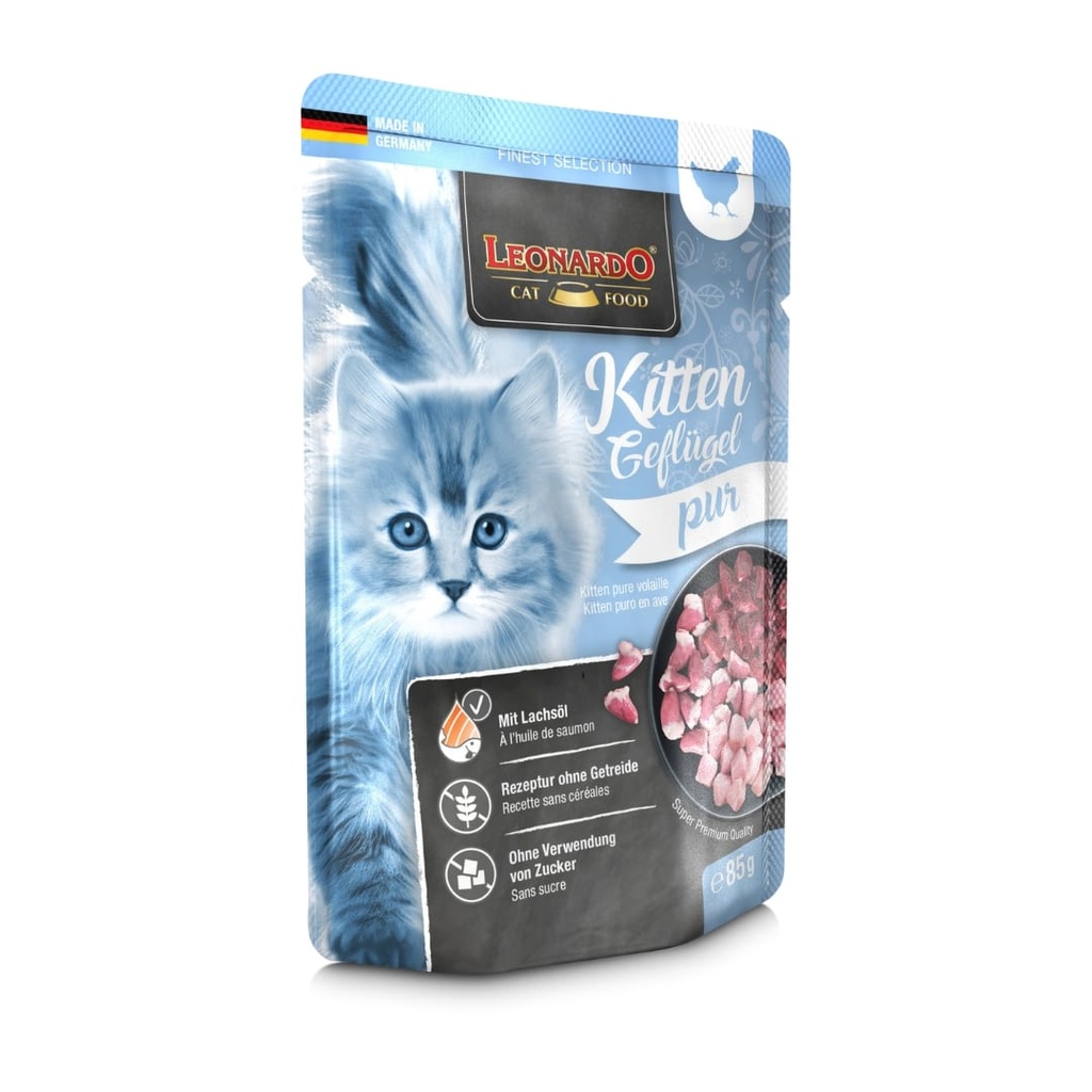 Leonardo Kitten Ave