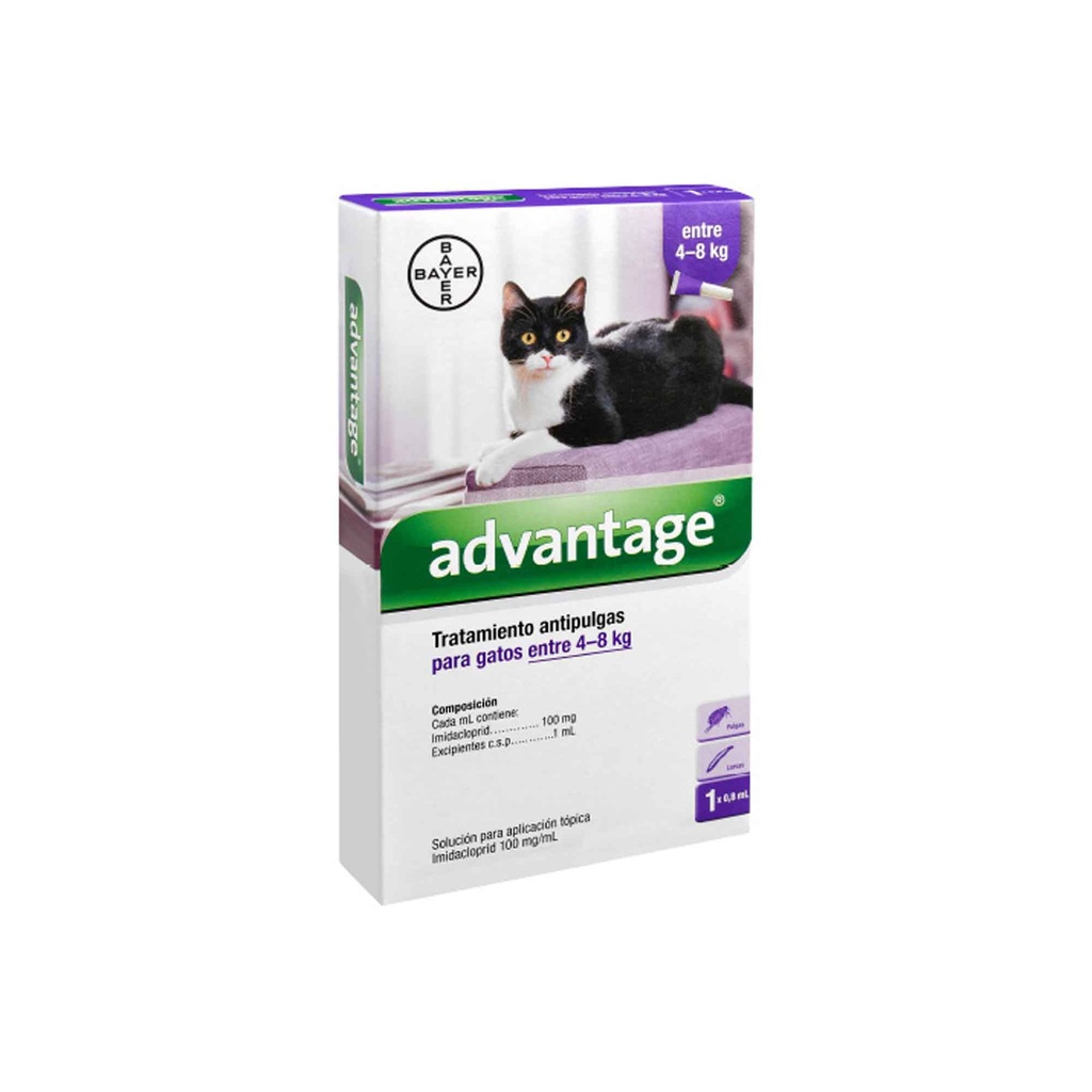 ADVANTAGE GATO 1 X 0.8 ML (4-8 KG)