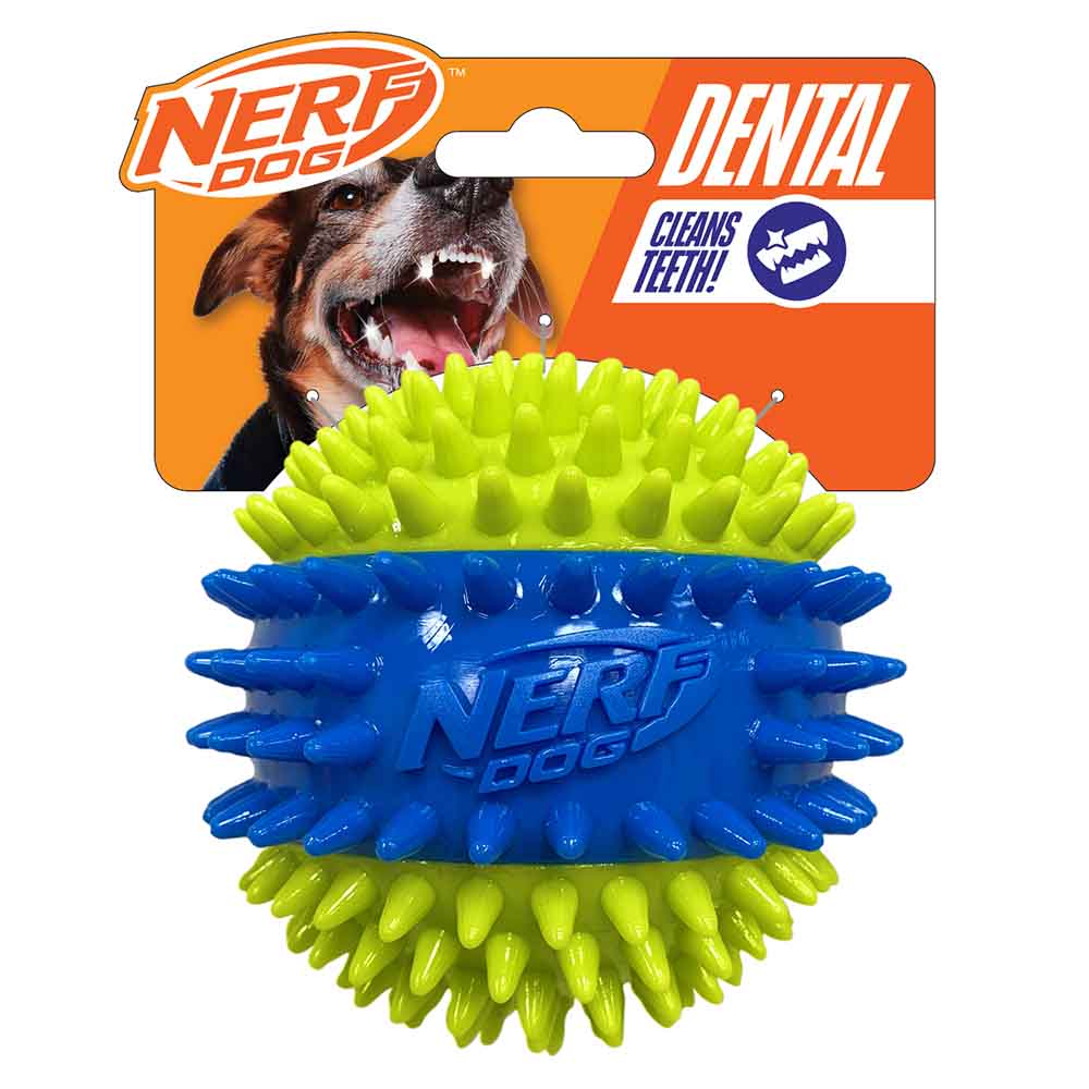 Nerf Dog Spike Squeak Ball Green/Blue