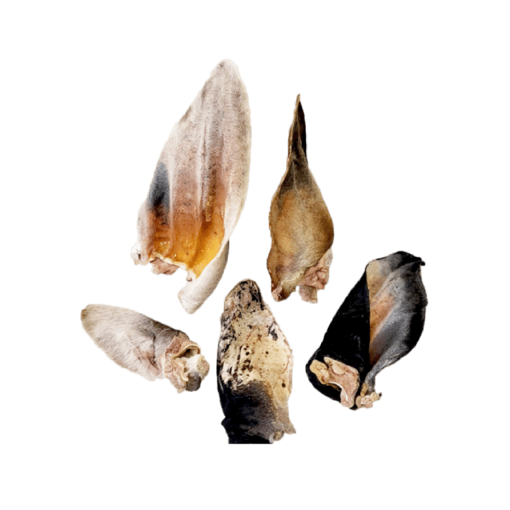 Orejas de res liofilizadas