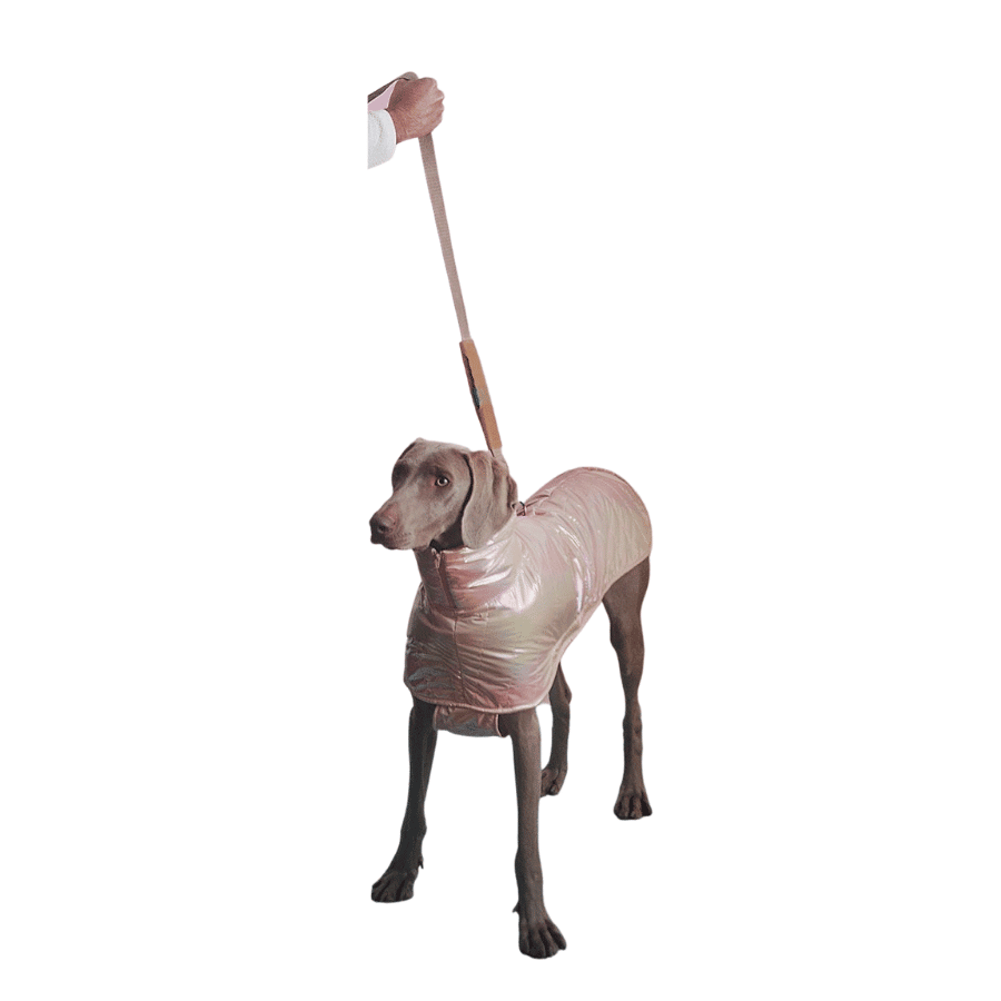 Poncho Galactic Rosa