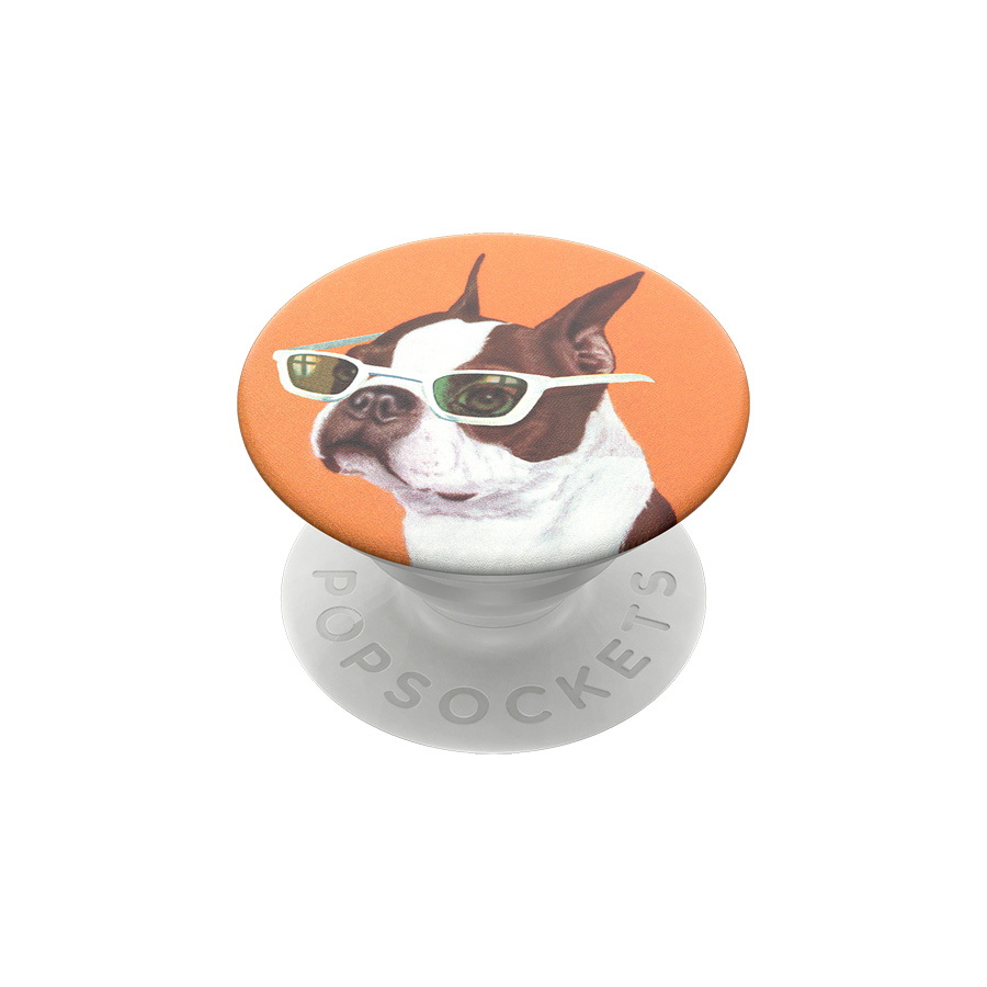 POP SOCKETS GINGER