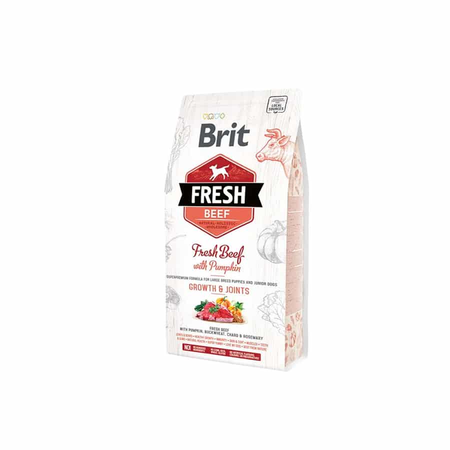 Brit Fresh Beef With Pumpkin Puppy Large