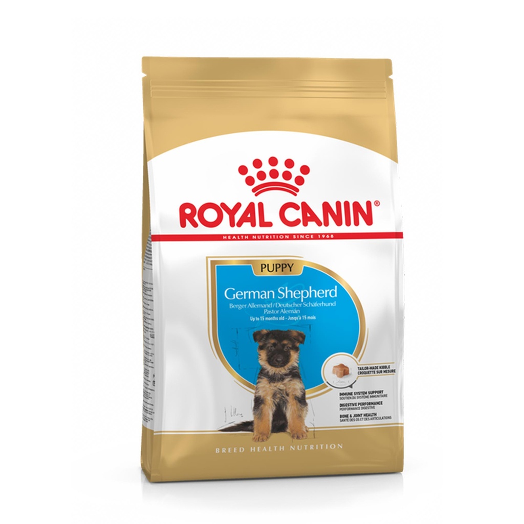 BHN GERMAN SHEPHERD PUPPY 12 KG