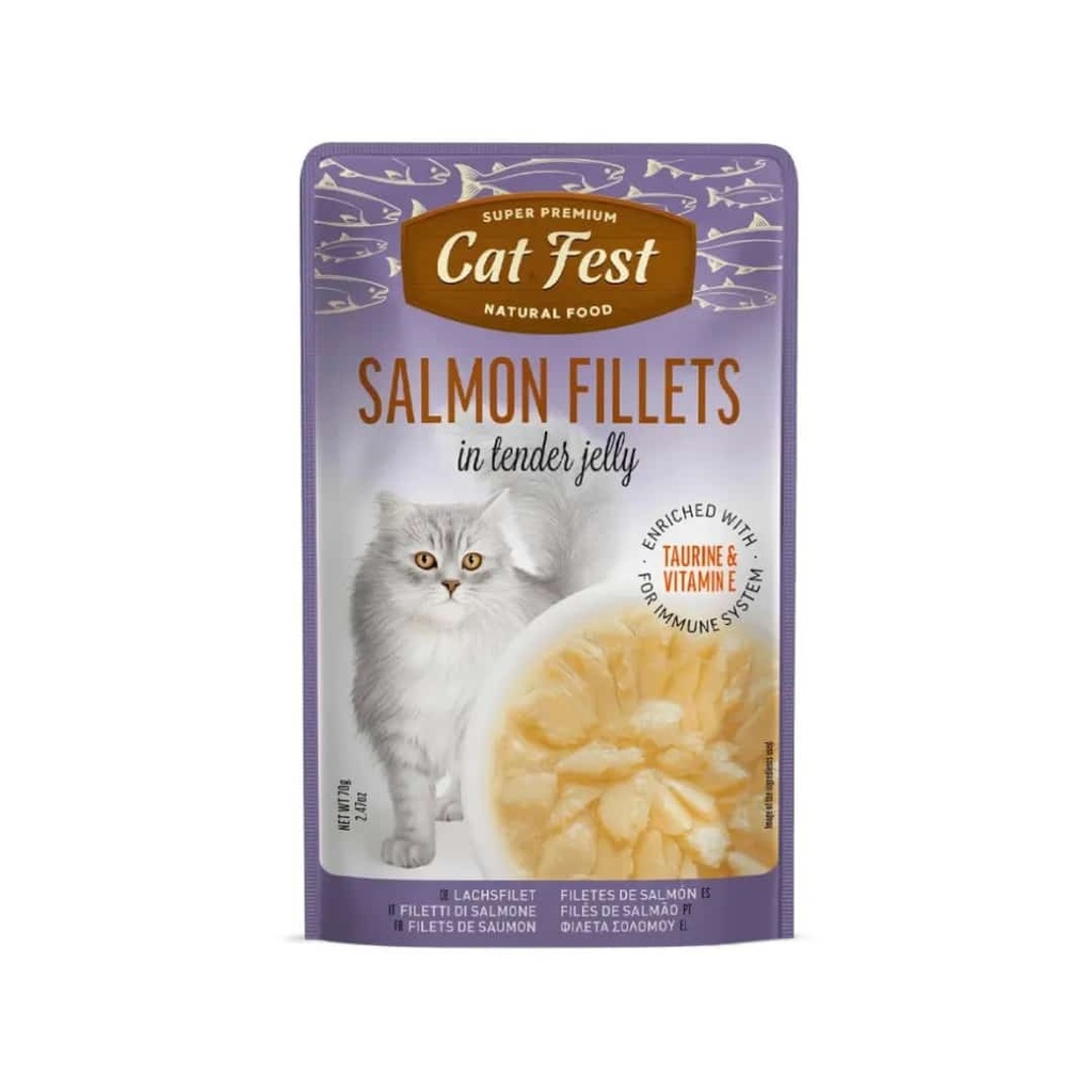 Cat Fest Salmon Fillets in Tender Jelly