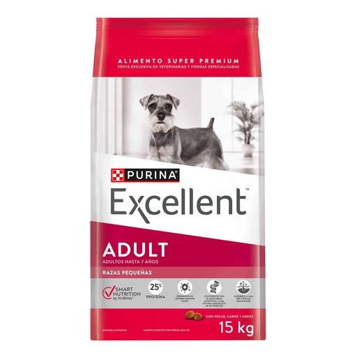 Excellent Adult Raza Pequeña Smart