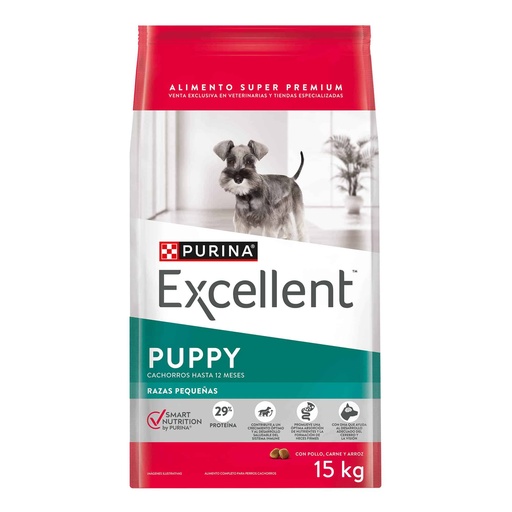 Excellent Puppy Raza Pequeña Smart