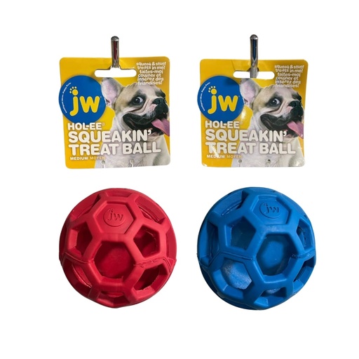 JW Hol-ee Squeaking Treat Ball Medium Moyen