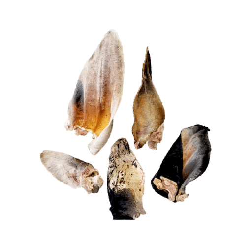 Orejas de res liofilizadas