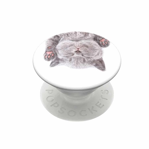 POP SOCKETS CAT NAP