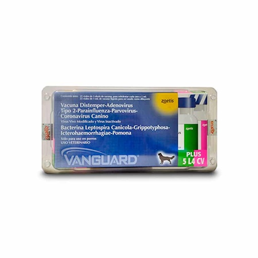 VANGUARD PLUS 5 CV/LA