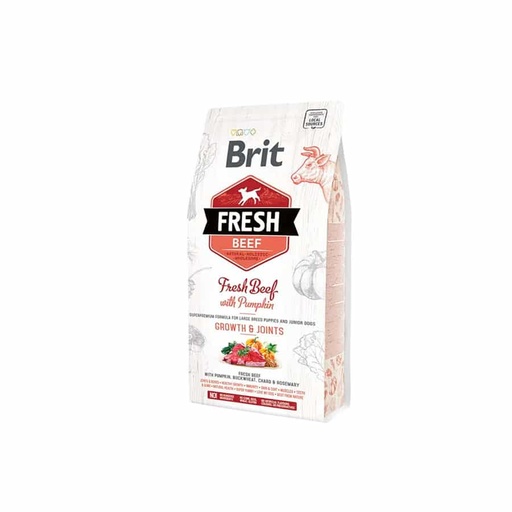 Brit Fresh Beef With Pumpkin Puppy Large